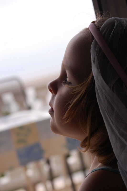DSC_0433